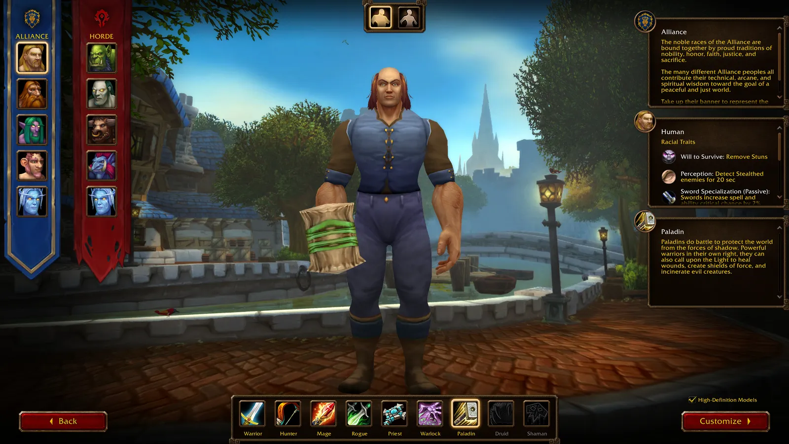 A Human Paladin on the WoW Forever character creation screen